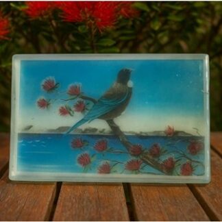 TUI ON POHUTUKAWA